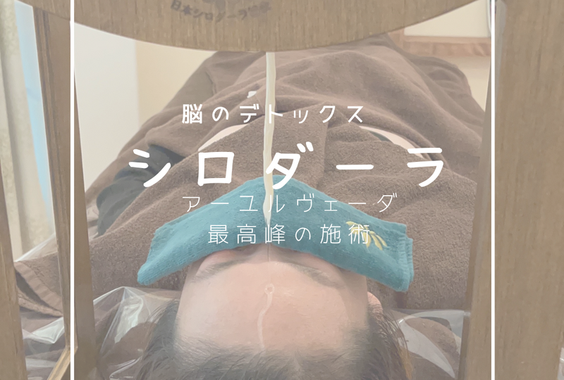 画像1356